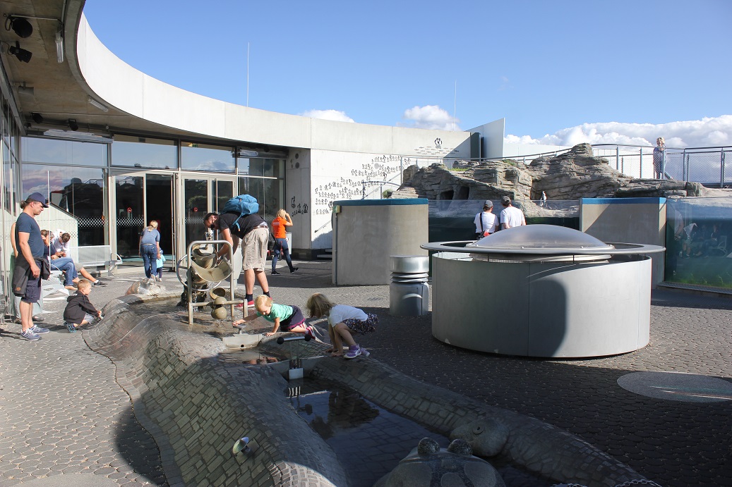 vodní a herní prvky na střeše oceanária ve Stralsundu