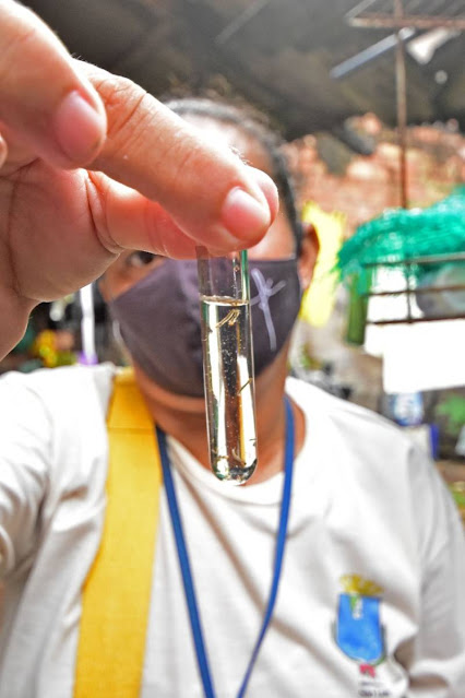 Prefeitura intensifica combate ao mosquito Aedes aegypti em São Luís