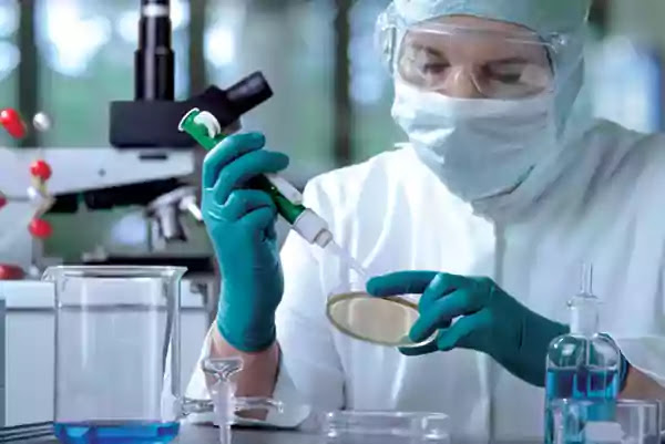 corona latest update