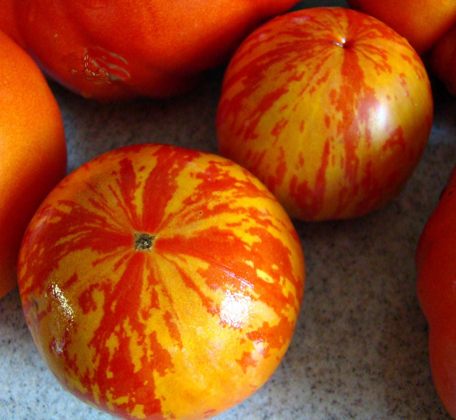 Red zebra tomato plants