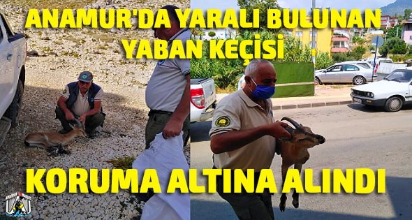 Anamur Milli Parklar Şefliği,Anamur Haber,Anamur Son Dakika,
