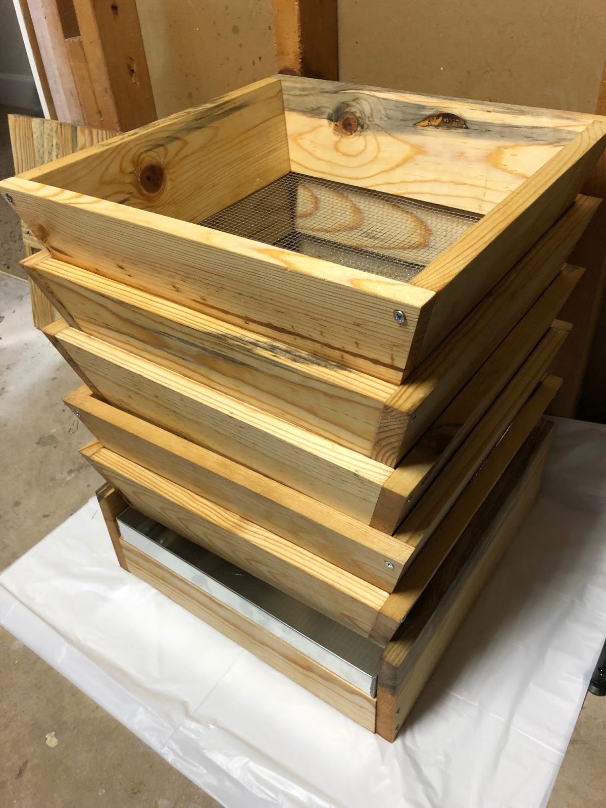 COHorts The Adventures in