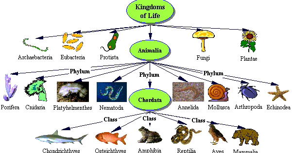 LESPRIVATESURABAYA-0856.313.4400