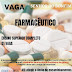 EMPREGO: 01 VAGA PARA FARMACÊUTICO EM BONFIM