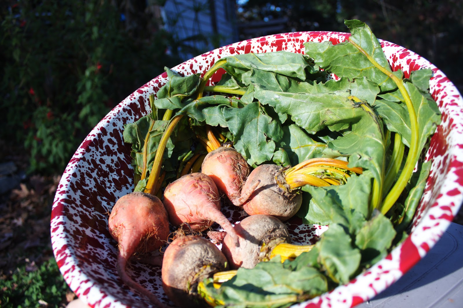 Mama Ozzy's Table Roasted Winter Vegetables with Honey and Thyme