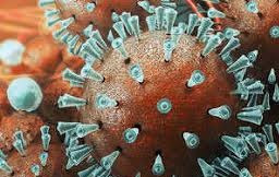 What is corona virus
