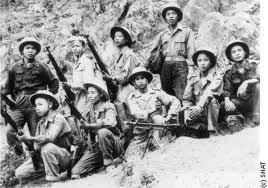História presente: A Revolução Vietnamita