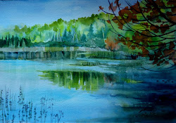 lake dunn painting wisconsin watercolor village northwoods