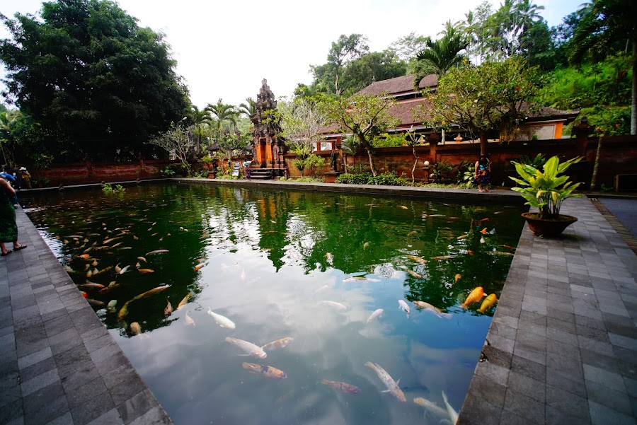 Bali Tirta Empul holy spring temple