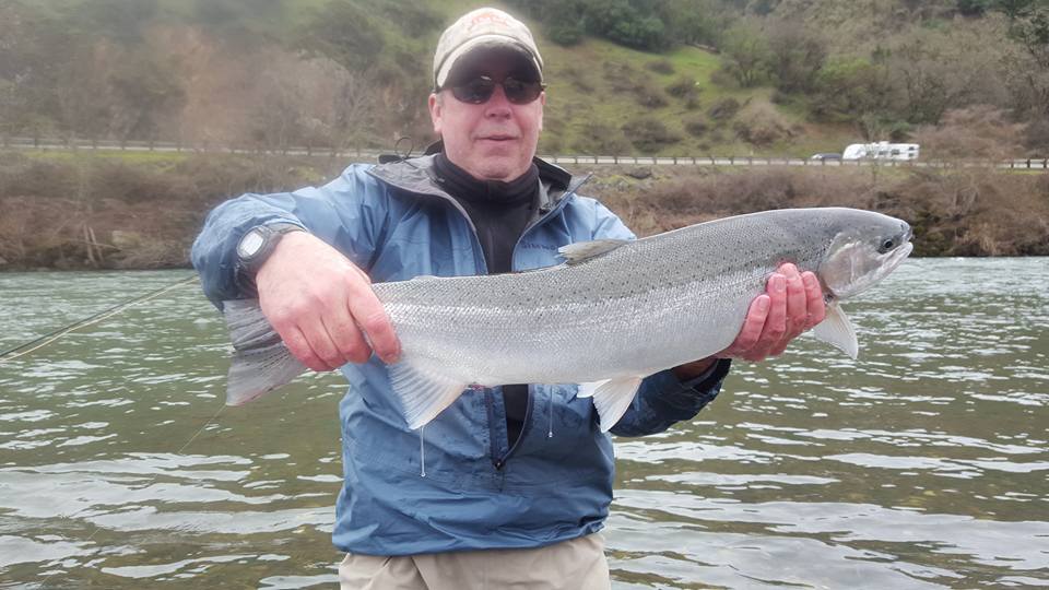 Umpqua River Fishing