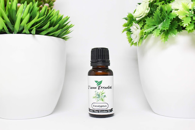 Eucalyptus Oil Minyak Atsiri Aroma Terapi Eucalyptus Globulus