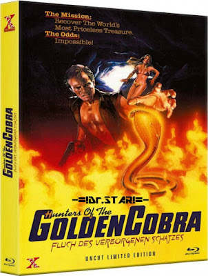The Hunters of the Golden Cobra 1982 Dual Audio 720p BRRip 500Mb HEVC