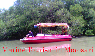Marine Tourism in Morosari