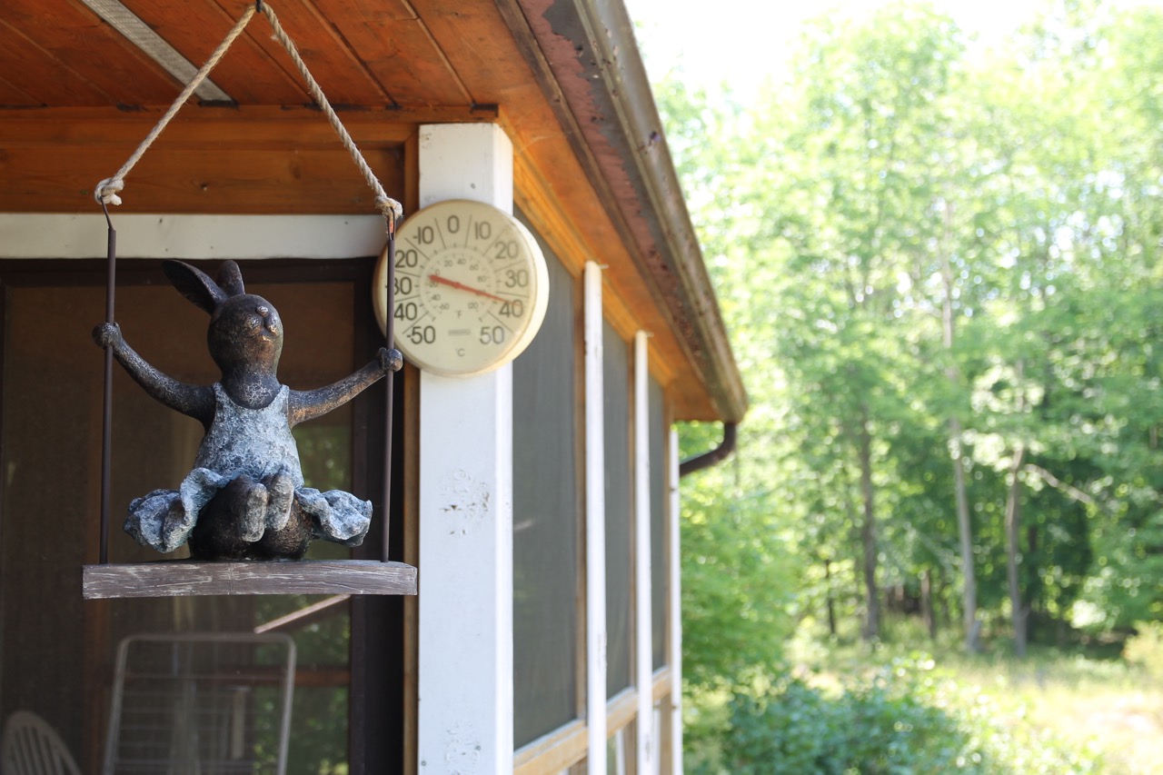 Reflections from Crumbly Acres water fountain, goldfish pond, kiddie pool