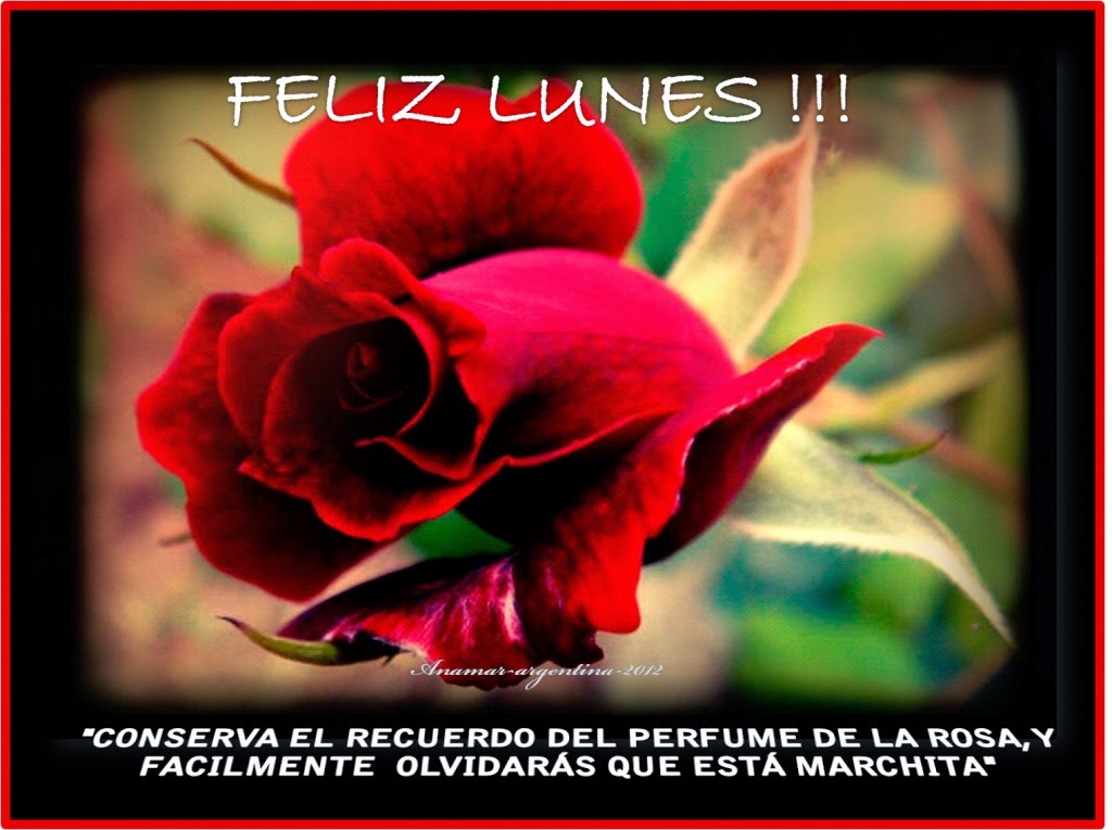 Feliz día lunes - IMÁGENES CON FRASES © LINDAS