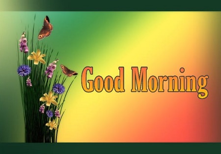 New Good Morning New Good Morning