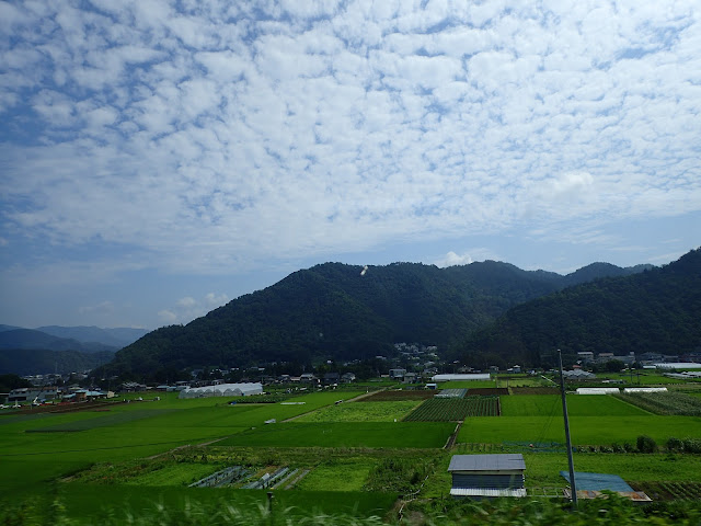 P7290353.JPG