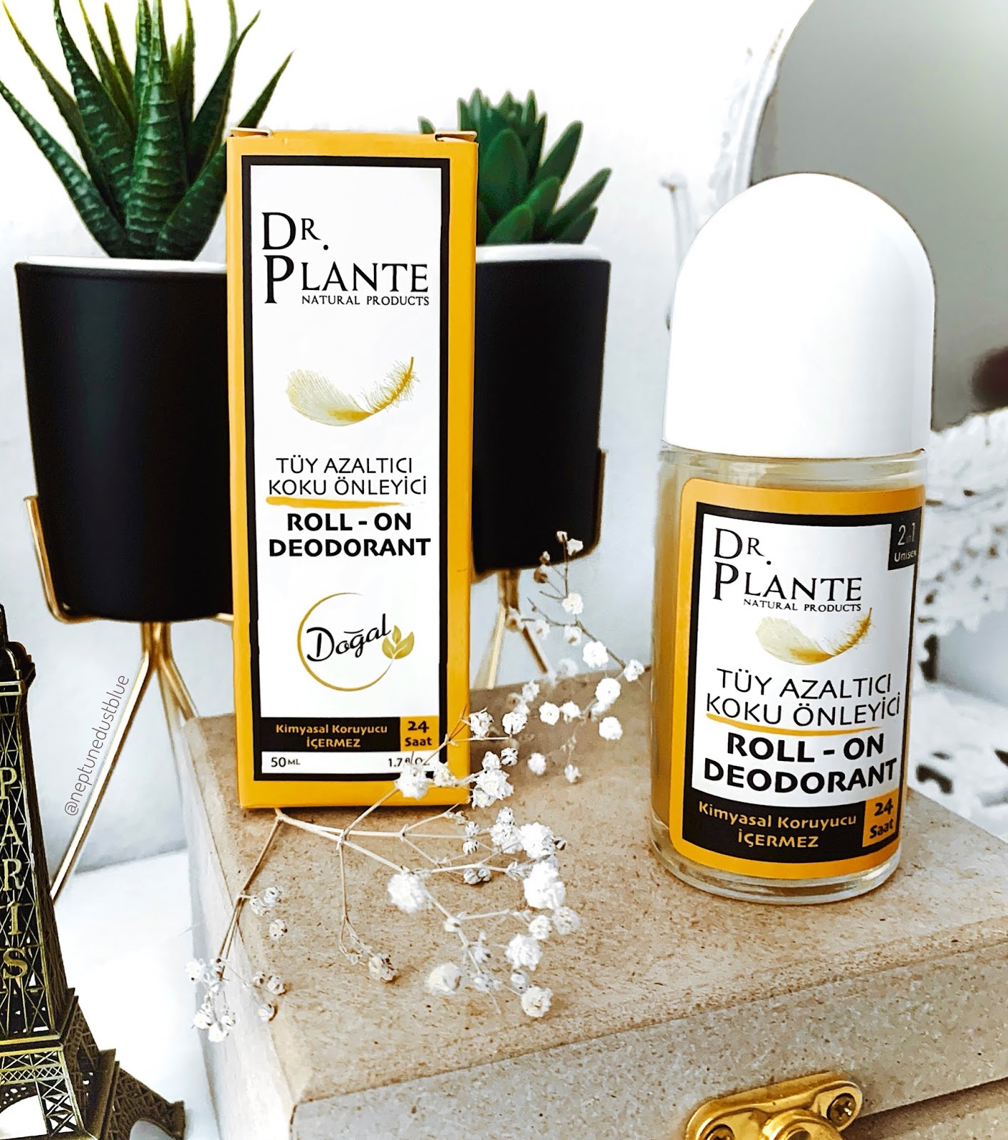 Dr Plante Cilt Bakim Kremi Ton Esitleyici 100 Ml Rossmann