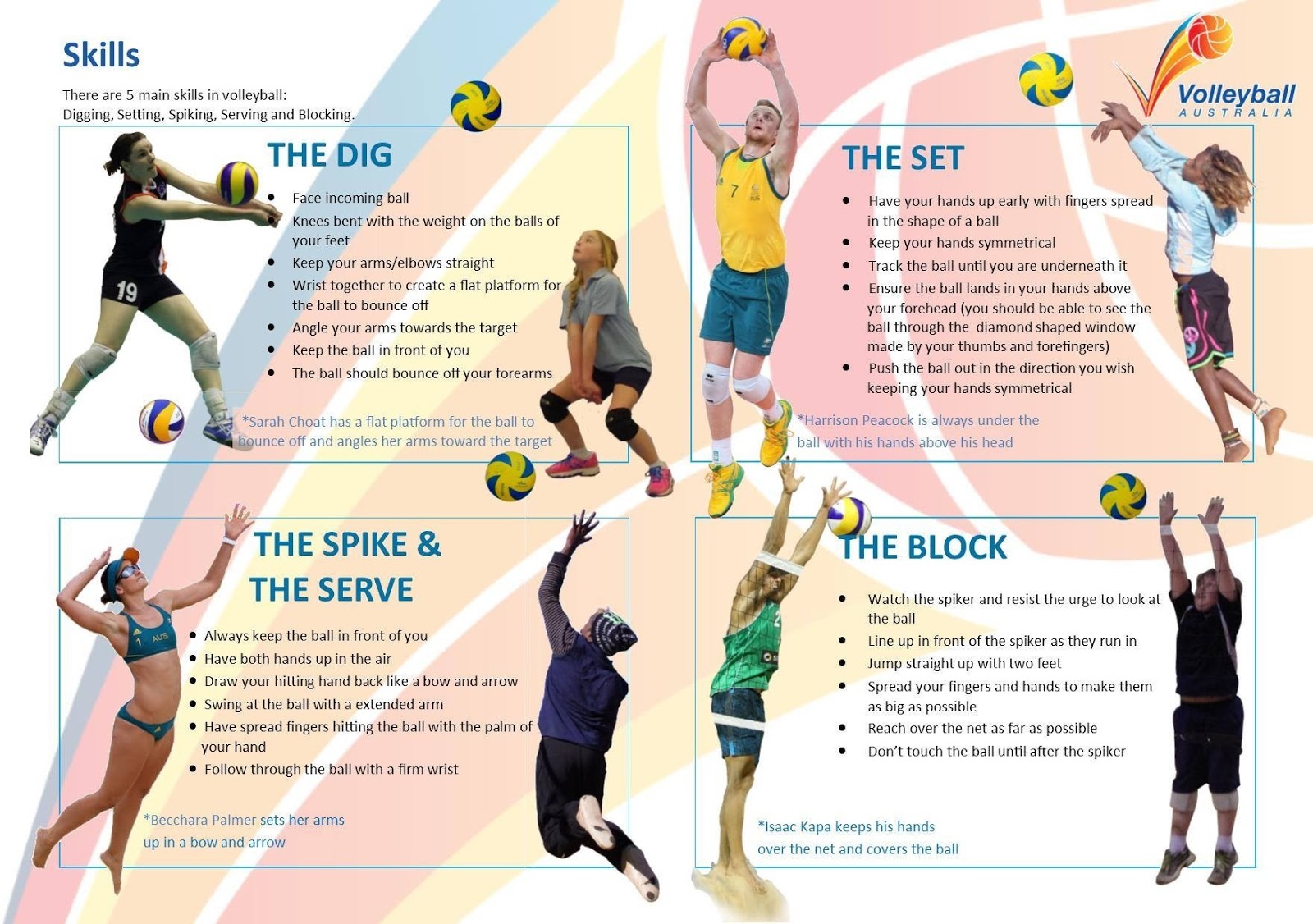 physical education assignment on volleyball