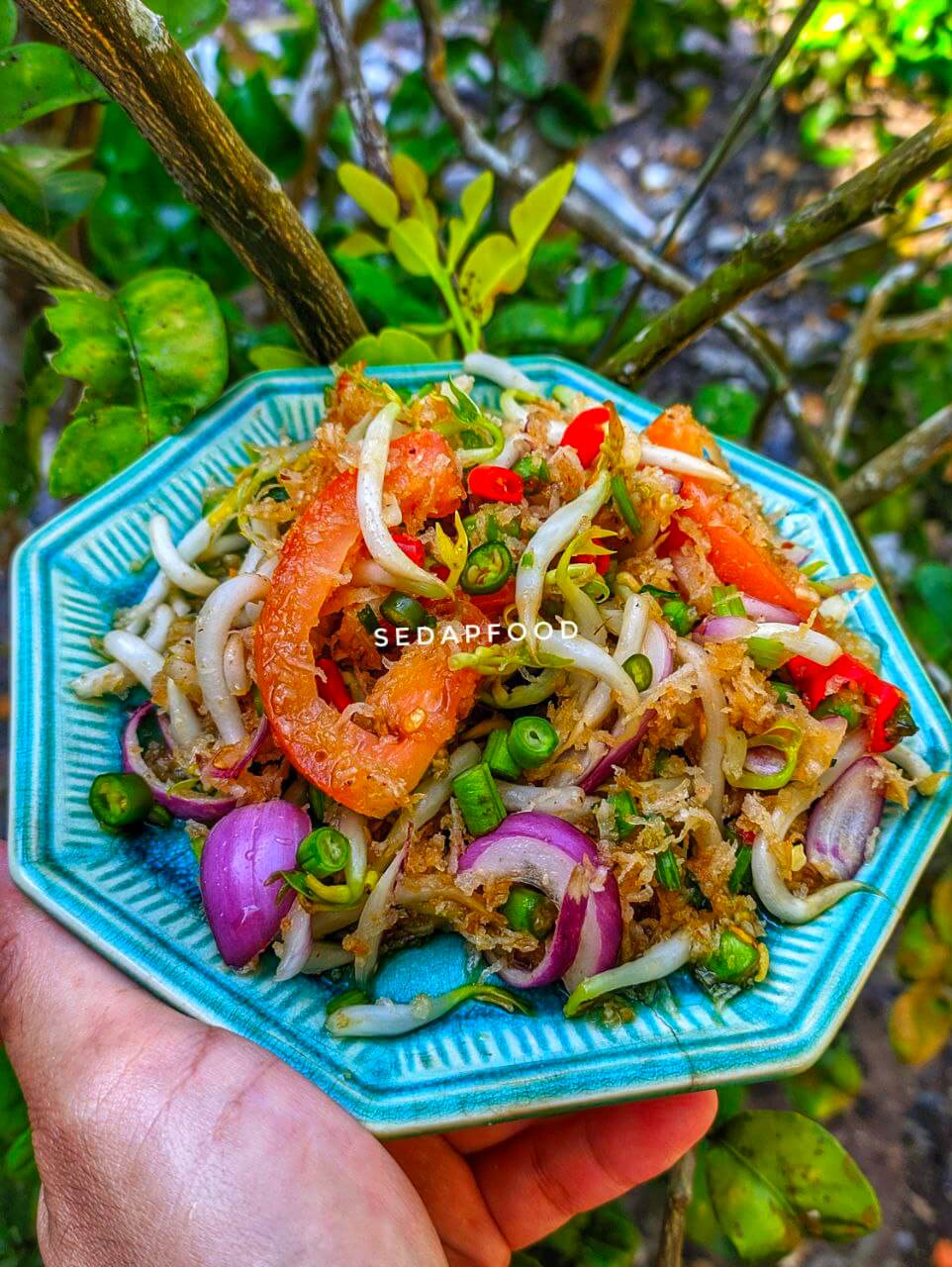 kerabu sayur taugeh simple