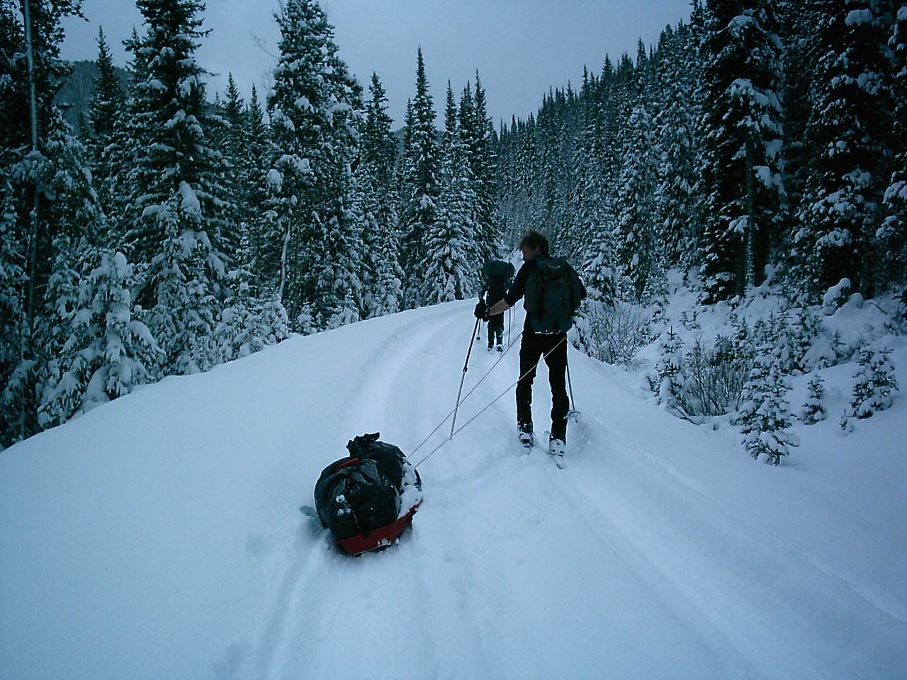 Out There With Tom West Fork Cabin Magic