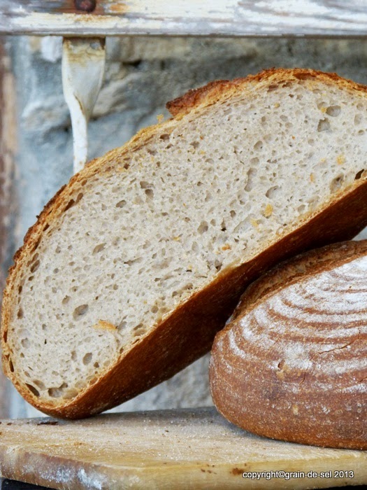 Grain de Sel Salzkorn Foodblog für vegetarische und Vegane Rezepte