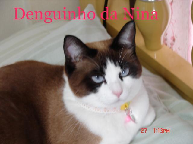 ♥   Denguinho da Nina   ♥