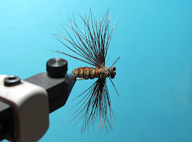 Fly Tying Nation: Foamular of Kalkatu Fly ( Jungle Flying Termite )