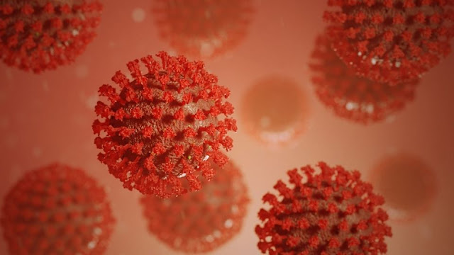 Virus SARS-CoV-2: Các nhà khoa học đã biết gì qua 5 tháng nghiên cứu?