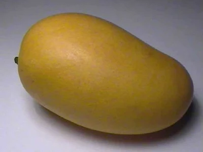 Mango - National Fruit of Pakistan