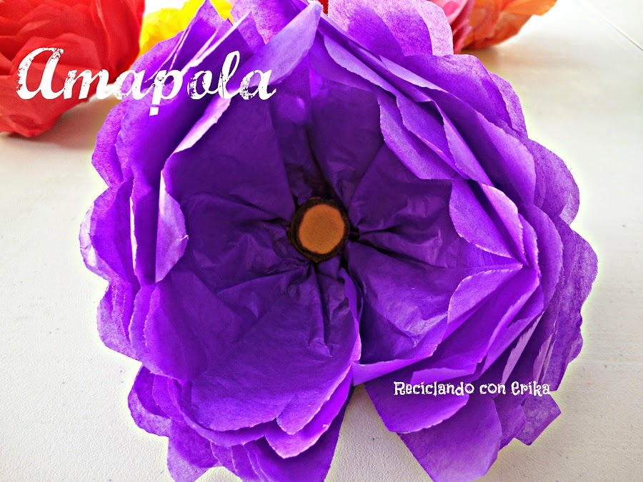Imagen 0