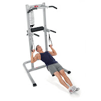 Bowflex Body Tower, perform over 20 exercises