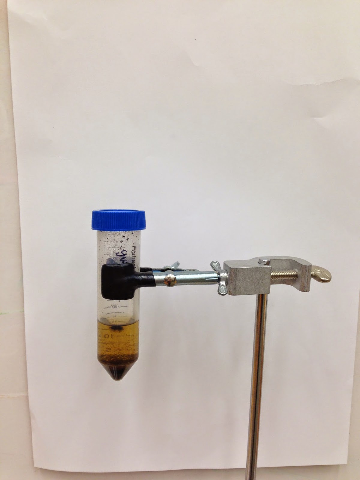 Jason's 5th/6th Grade Class at Summers-Knoll School: Investigating Water