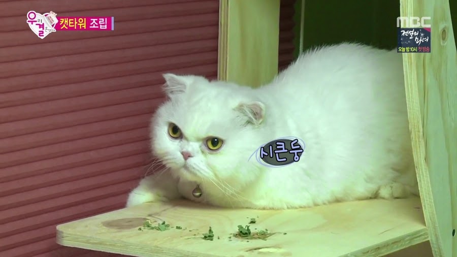 진정성 있는 변태로 거듭난 오늘자 송재림ㄷㄷㄷ.jpg | 인스티즈