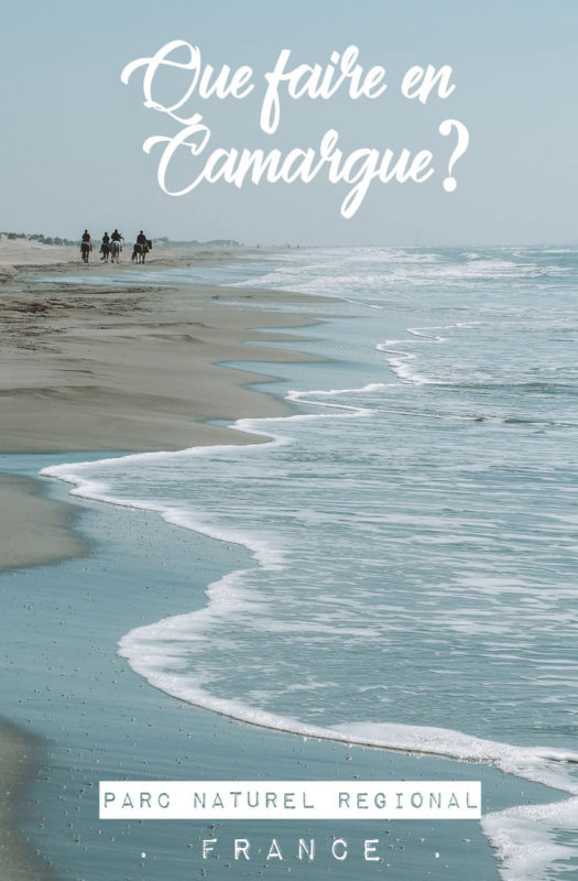 Que faire en Camargue ?