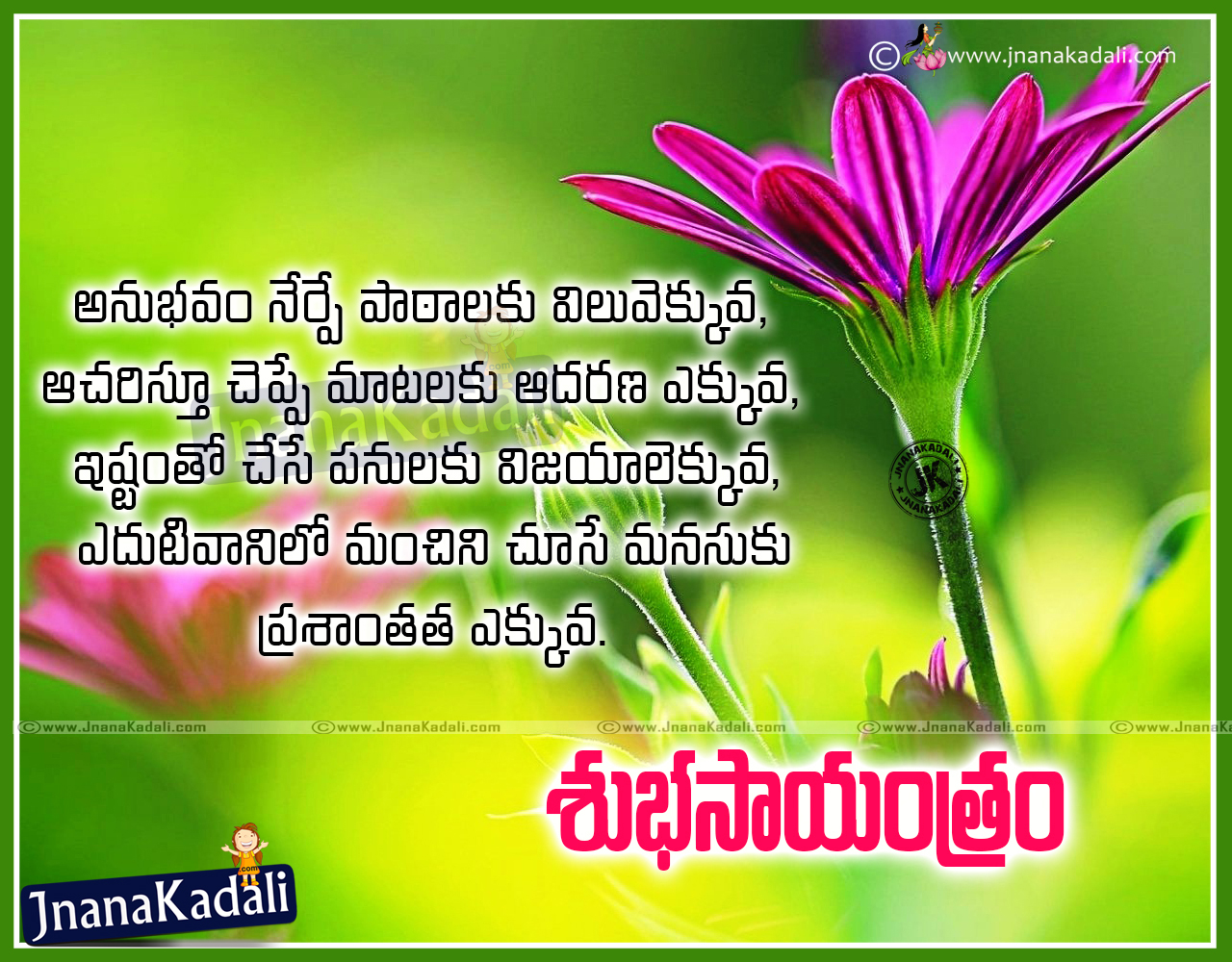 Top Telugu Famous Good Evening Inspirational Quotes and Sayings | JNANA ...