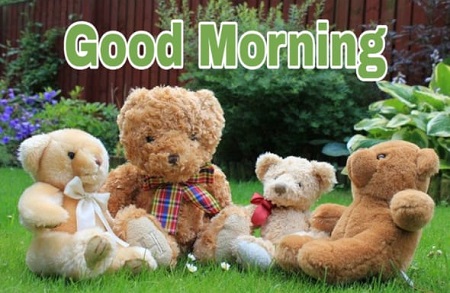 Good morning Images Good morning Images