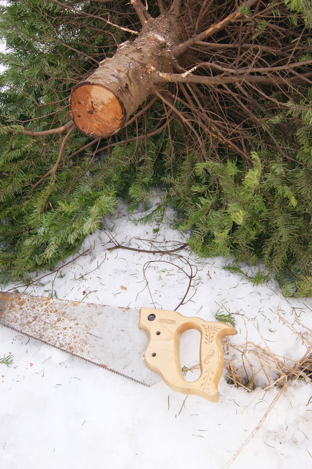 Seeds and Sawdust Gleason's Guide to the Handmade & Homegrown Tree