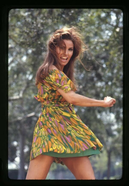 Classic Visions of Beauty: Raquel Welch