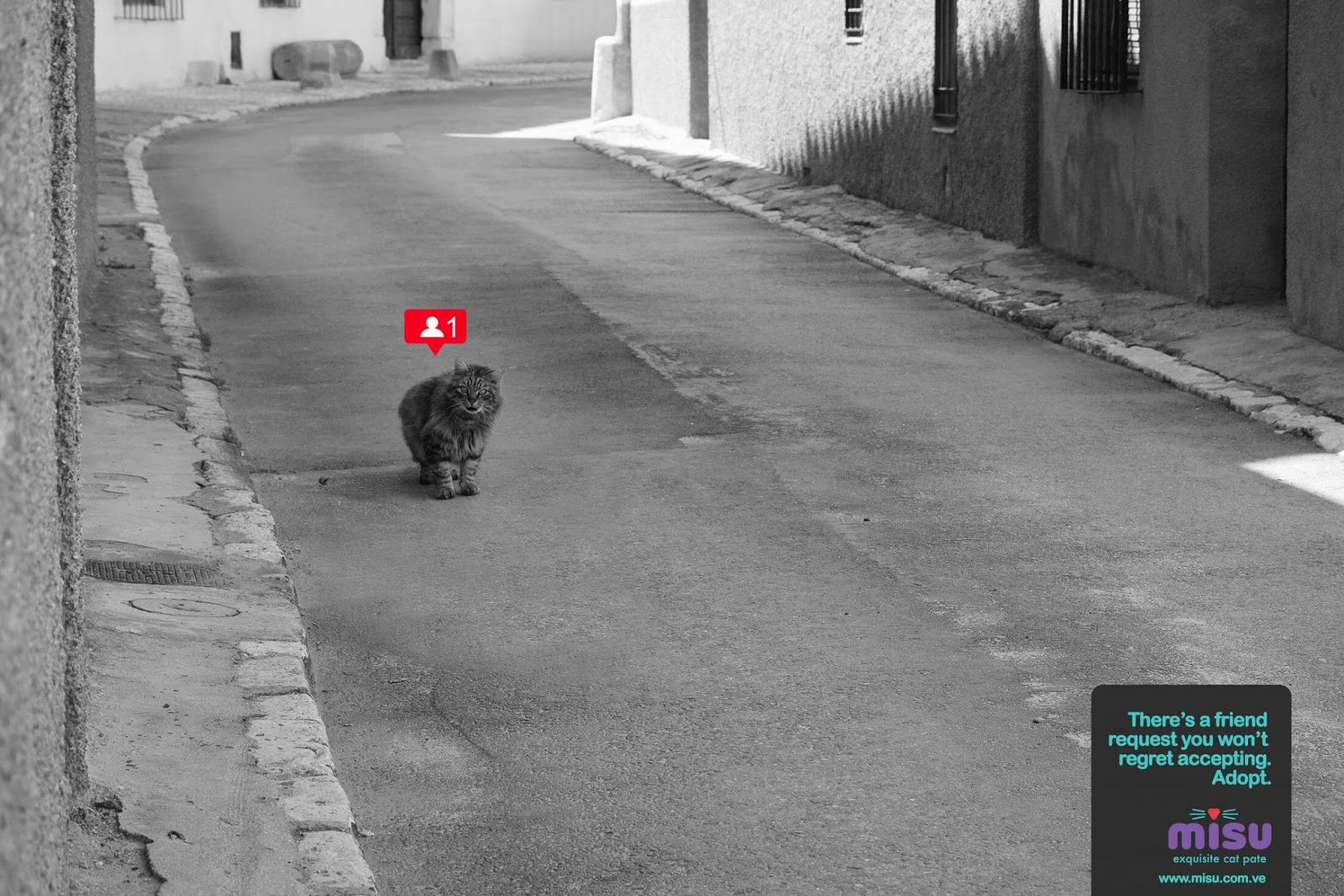 Solicitud de amistad MISU Campaña para adoptar animales