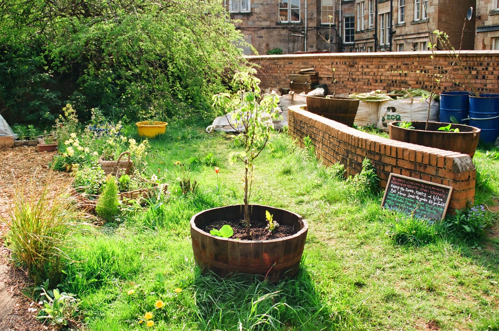 Willowbank Community Garden