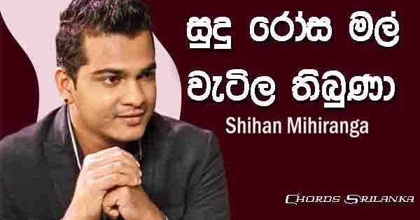 A Guide To Sinhala Song Chords At Any Age