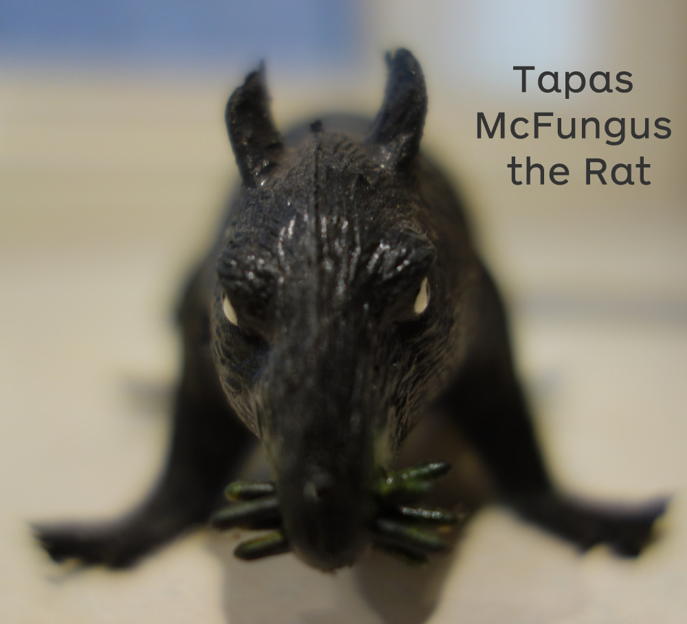 Spanish Harlem Meet Tapas the Rat