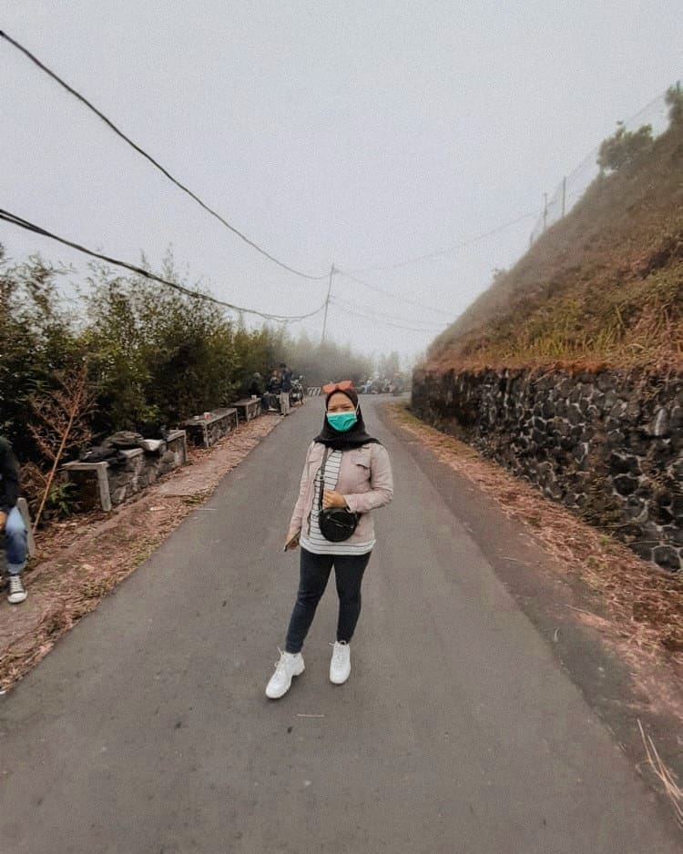 Rute, Tiket Masuk dan Lokasi Puncak Gunung Telomoyo ...