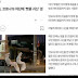 Kisah Dua Pocong Penjaga Portal Kampung yang Viral