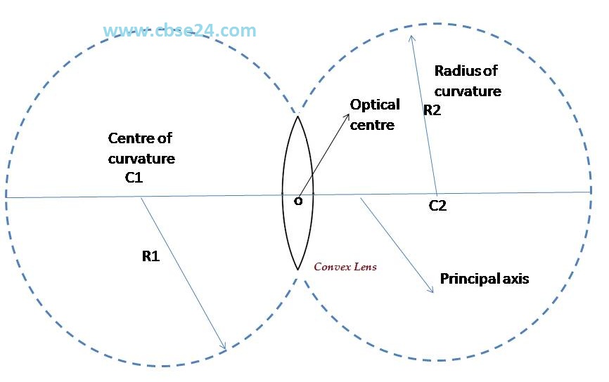 Spherical Lenses Basic class10 cbse24