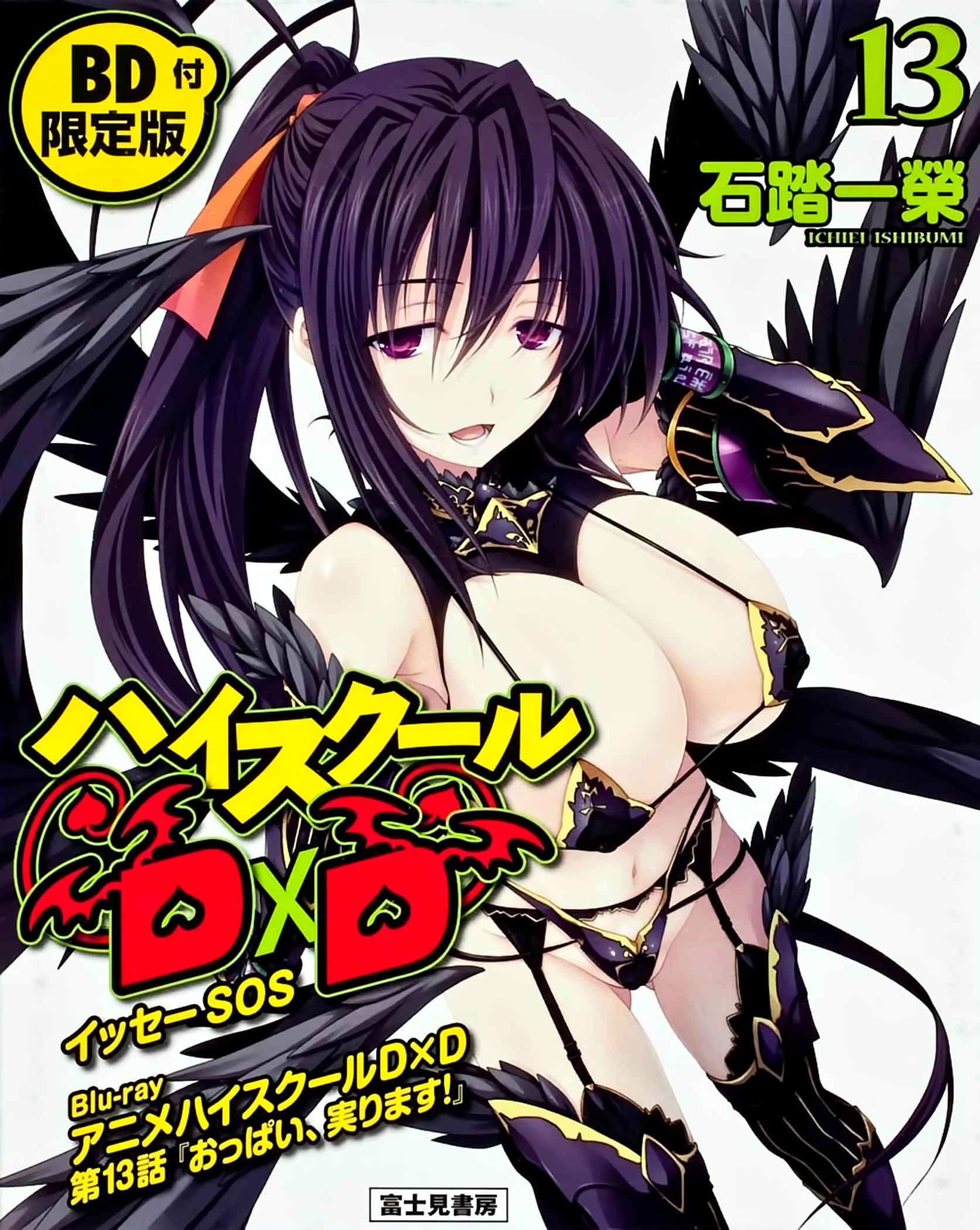 High_school_dxd_v13_Extra_cover.jpg
