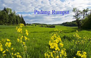  Bioma padang rumput yaitu ekosistem di mana jenis vegetasi mayoritas terdiri dari banyak sekali Pengertian Padang Rumput dan Hewan Tumbuhan yang hidup