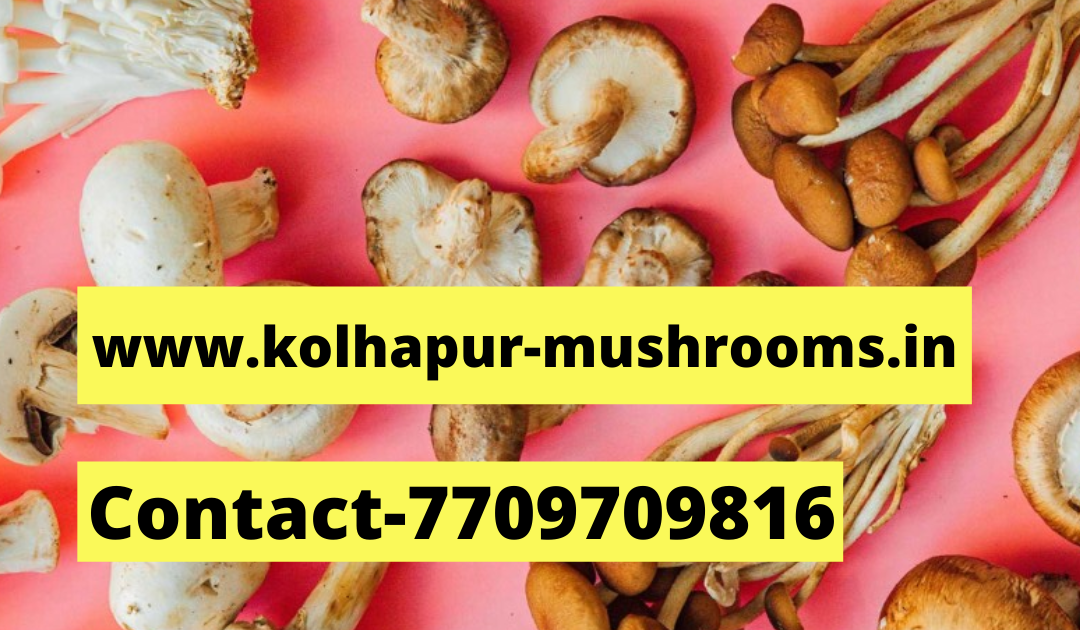 Mushroom demand in india Organic mushrooms Biobritte mushrooms
