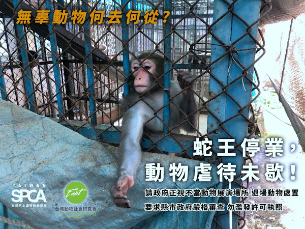 台南世界蛇王農場，長年不當飼養與非法繁殖野生動物。日前發出求售訊息，場內仍有大量動物，包含鱷魚、台灣獼猴、各式毒蛇、保育類動物如大冠鷲、黃喉犀鳥、食蛇龜等，飼養環境欠佳，動物處境令人擔憂。園內一隻社群性獼猴被單獨飼養在環境枯燥的鐵籠內